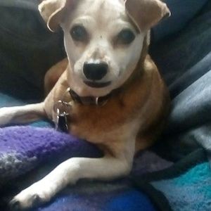 Meet your Posher, Viviann